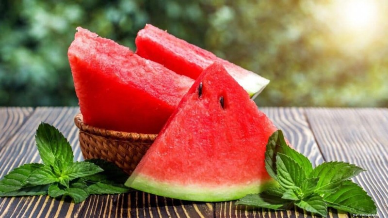 A melancia é segura para papagaios? Um guia completo de alimentação 