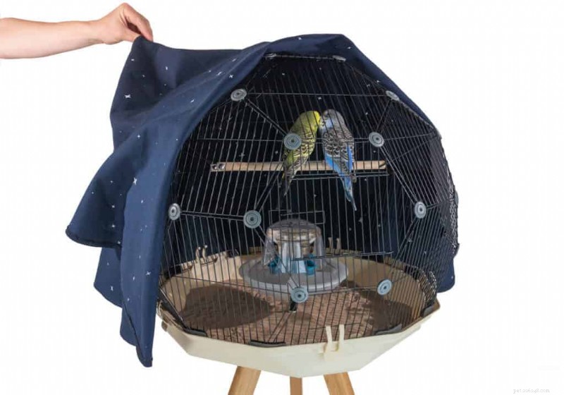 Cage à oiseaux Geo‑Dome Omlet :design moderne, espace de vol supplémentaire et faible entretien pour les petits oiseaux 