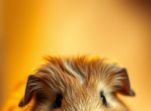 Jsou hořčičné zelené pro morčata bezpečné? Průvodce schválený veterinárním lékařem 