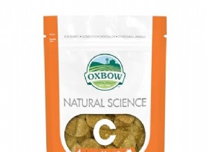 Oxbow Animal Health Vitamin C Supplement:Ett pålitligt val för friska marsvin 