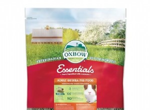 Oxbow Essentials Krmivo pro dospělé morčata:Výživa doporučená odborníky pro šťastná a zdravá prasata 