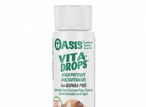OASIS #80061 Granskning av marsvin Vita Drop – höj ditt husdjurs hälsa med riktad C-vitamin 