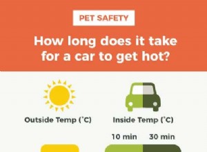 犬の車の安全性に関する究極のガイド:ロードトリップのヒントとギア 