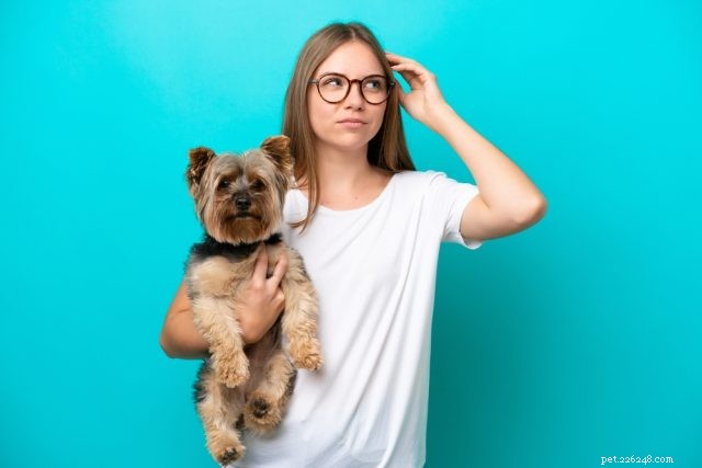 Domande frequenti sui proprietari di cani 2025:risposte degli esperti a 20 domande comuni 