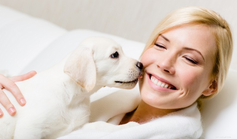 Domande frequenti sui proprietari di cani 2025:risposte degli esperti a 20 domande comuni 
