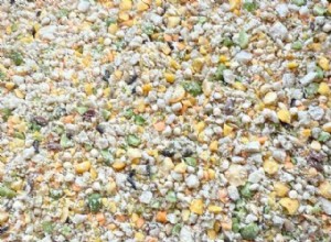 Developing Uro Grit: Reimagining Seeds, Roughage, and Natural Diets for Herbivorous Desert Reptiles