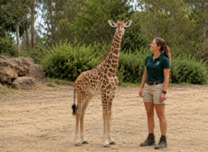 Newborn Giraffes Stand Taller Than Most Adult Men