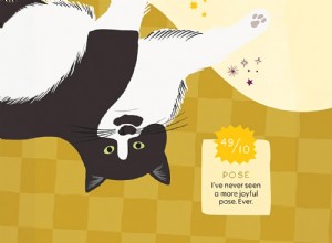 Connie’s Book Club: Spring/Summer 2025 Picks for Cat Lovers