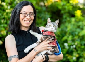 Is Your Cat a Picky Eater? Expert Tips to Encourage Healthy Eating