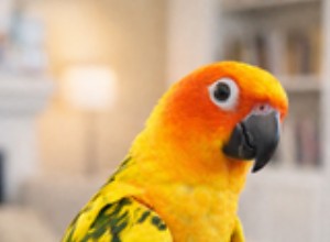How Winter Weakens Bird Bones and What to Do About It
