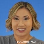 Why Does My Dog Stare? Understanding Canine Eye Contact